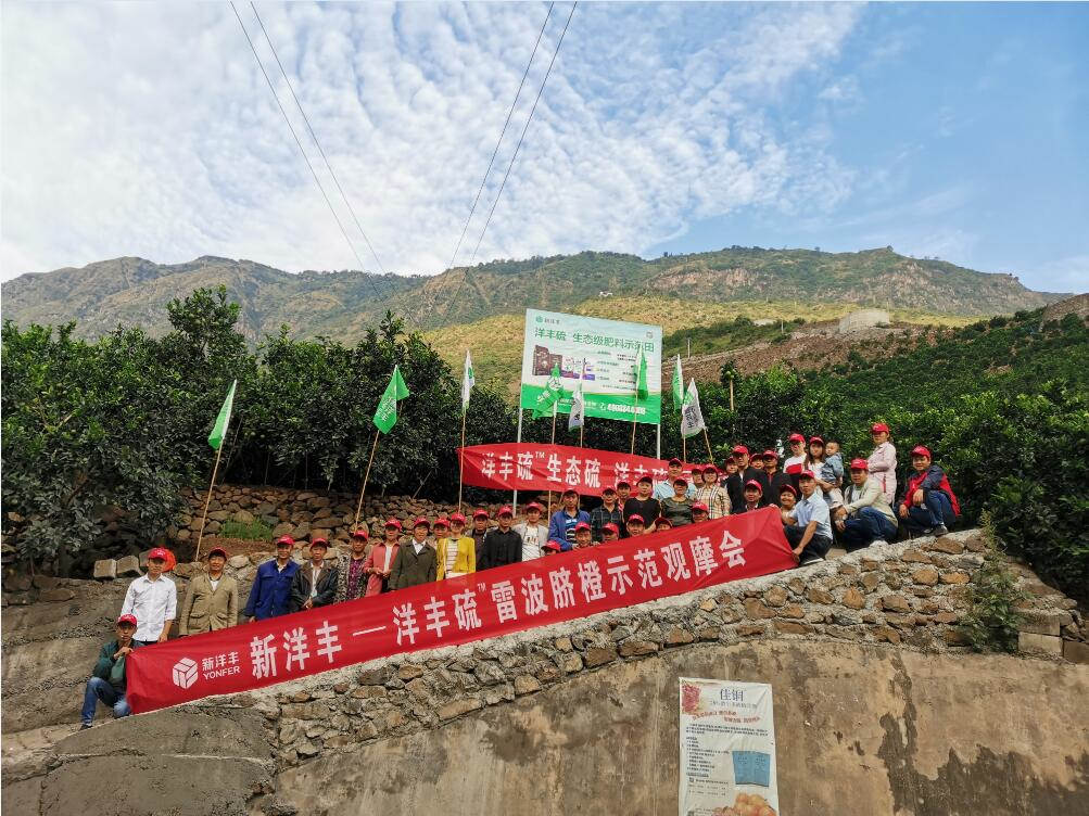 TIM截图20191010142916.jpg