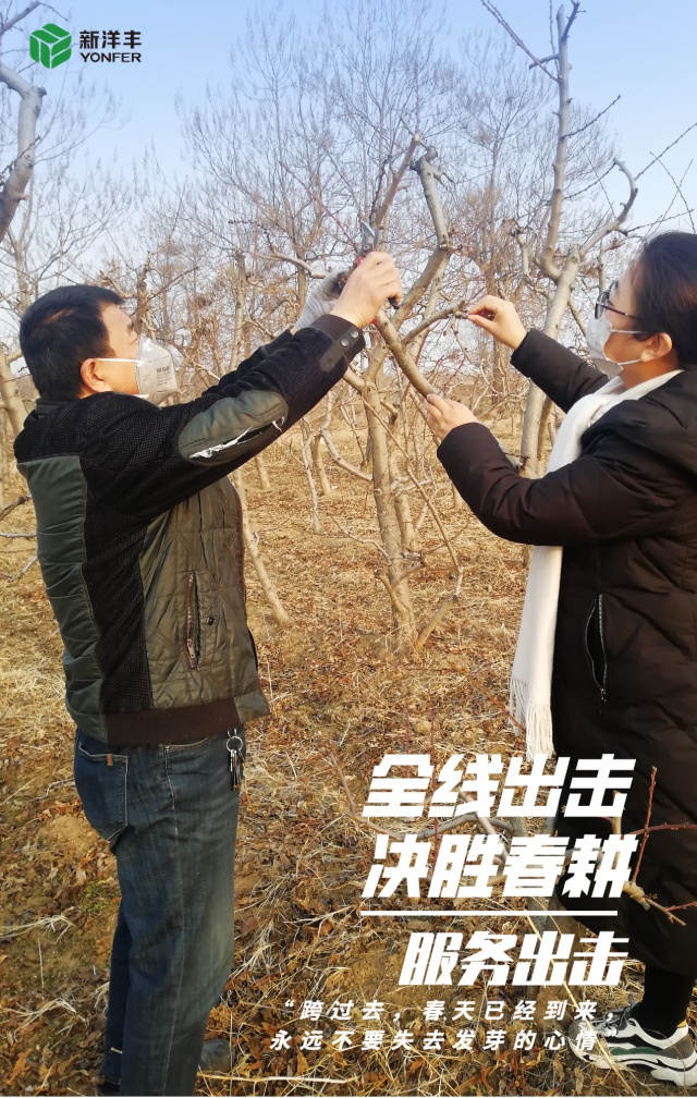第6页.jpg