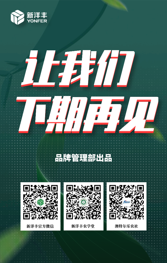 第2页.png 第2页.png