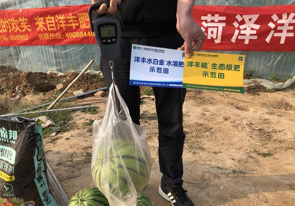 正在称肥料.jpg