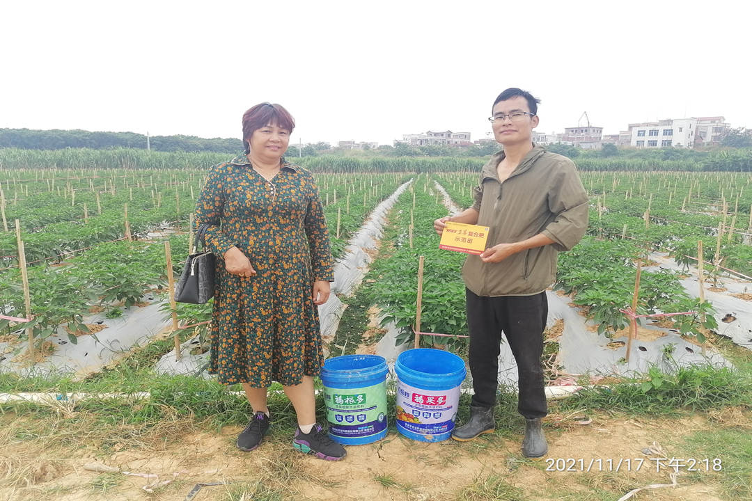 邓群珍（左）在走访蔬菜种植基地_副本.jpg