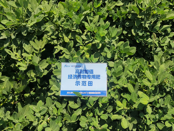 澳特尔高富专长势好无死棵.jpg