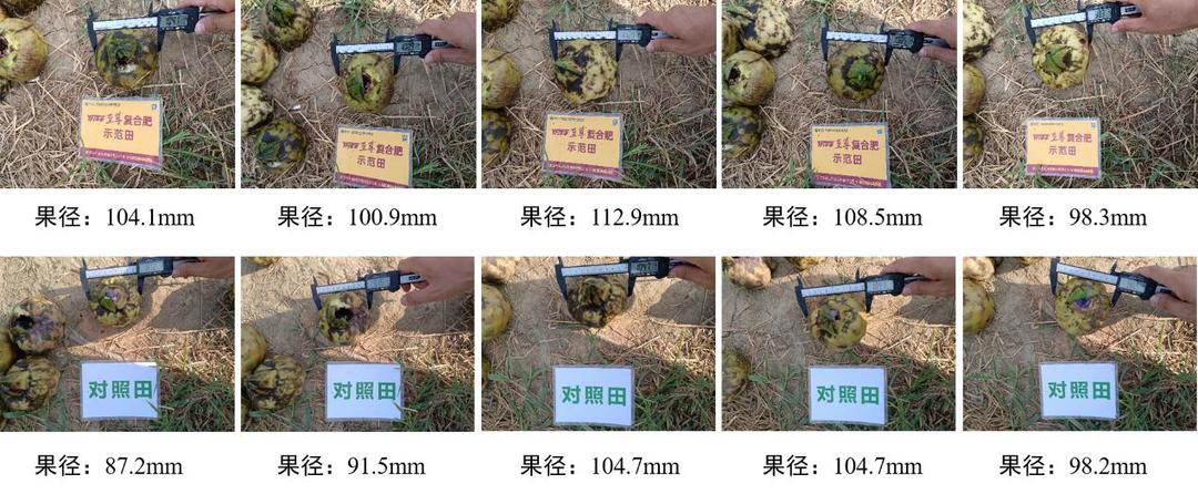 果径对比.jpg