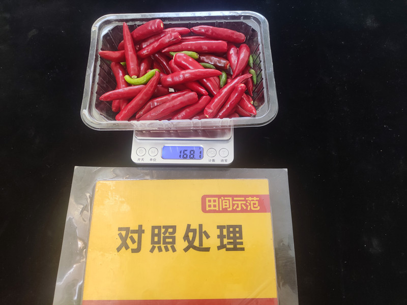 9月26日对照整株鲜果重：168.1g，亩产336kg_副本.jpg